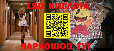 винт Донецк